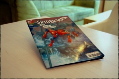 Mein Spiderman-Comic